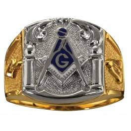 3rd Degree Masonic Ring 10KT OR 14KT, Open or Solid Back, White or Yellow Gold #605